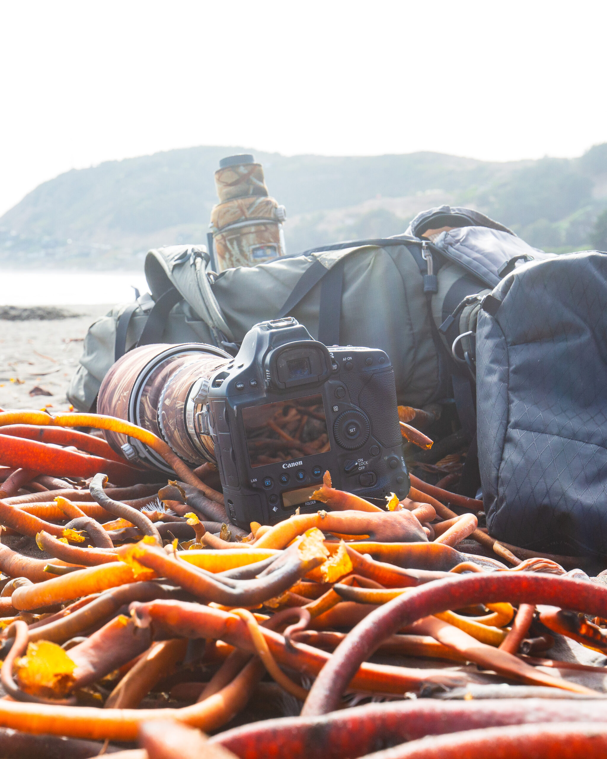 Cameras at the beach, Matanzas, Chile